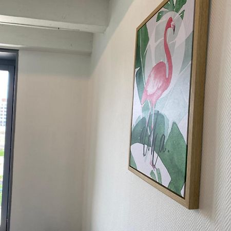 Appartamento Les Cosy De Nancy - Le Duplex aux flammants roses - 4étoiles Esterno foto