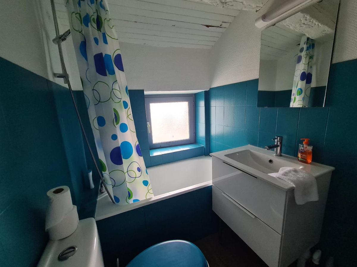 Appartamento Les Cosy De Nancy - Le Duplex aux flammants roses - 4étoiles Esterno foto
