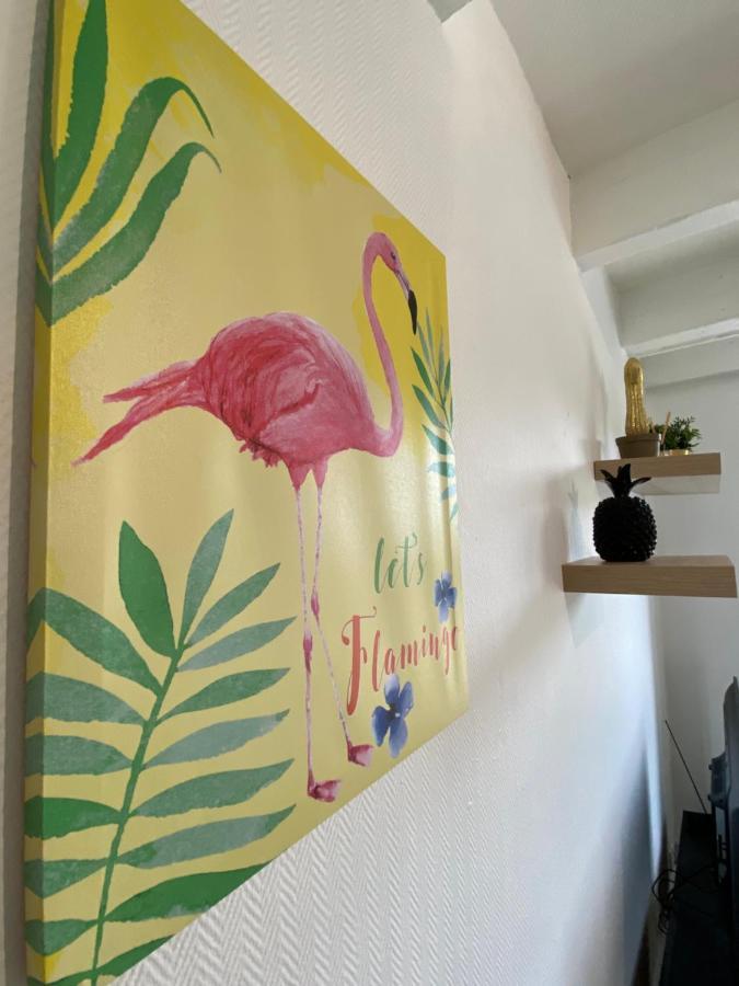 Appartamento Les Cosy De Nancy - Le Duplex aux flammants roses - 4étoiles Esterno foto